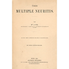 Über multiple neuritis