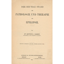 Der heutige Stand der Pathologie und Therapie der Epilepsie