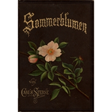 Sommerblumen : eine Schilderung der heimischen Blumenwelt