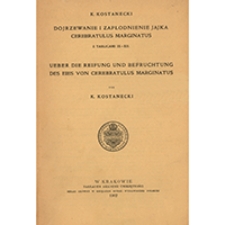 Dojrzewanie i zapłodnienie jajka Cerebratulus marginatus