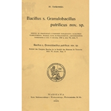 Bacillus s. Granulobacillus putrificus nov. sp.