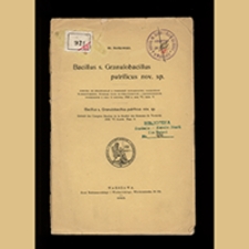 Bacillus s. Granulobacillus putrificus nov. sp.