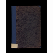 Kr&oacute;tki zarys nauki o bliźniętach : (gemelliologia)