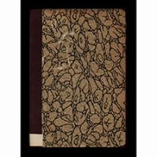 Dur wysypkowy (tyfus plamisty) (typhus exanthematicus, febris petechialis)