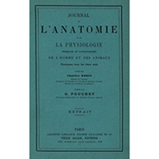 Des insertions de l'aponévrose du grand oblique (les ligaments de fallope et de gimbernat n'existent pas)