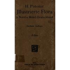 Illustrierte Flora von Nord- und Mitteldeutschland. Bd. 2. Atlas