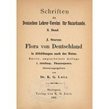 J. Sturms Flora von Deutschland in Abbildungen nach der Natur, Tom 6