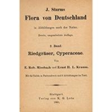 J. Sturms Flora von Deutschland in Abbildungen nach der Natur, Tom 2
