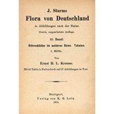 J. Sturms Flora von Deutschland in Abbildungen nach der Natur, Tom 10