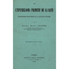 De l'epith&eacute;lioma primitif de la rate : hypertrophie idiopathique de la rate sans leuc&eacute;mie